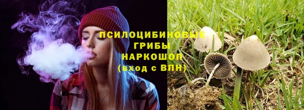 сатива Абинск