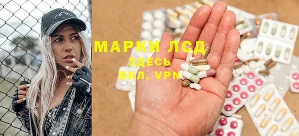 сатива Абинск