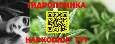 a pvp Кунгур