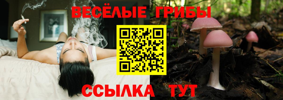 Галлюциногенные грибы ЛСД Чита