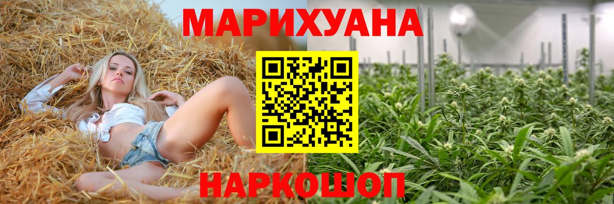 Конопля гибрид Чита